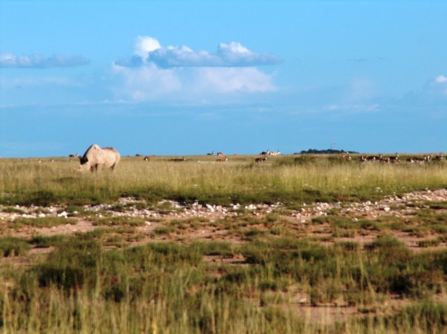 Namibia 063